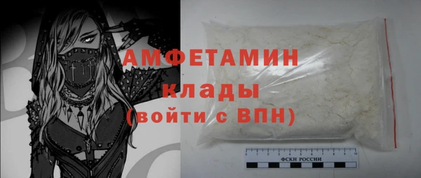 стаф Арсеньев