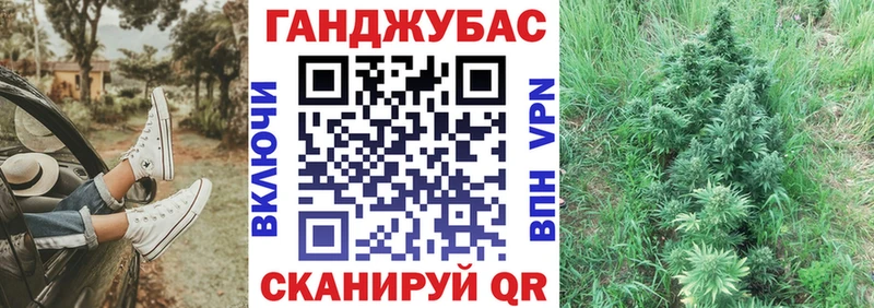 Канабис гибрид  Краснознаменск 